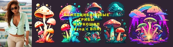 2c-b Богородск