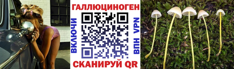 Псилоцибиновые грибы мицелий  Мосальск 
